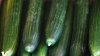 Reportan casos de salmonela en EEUU vinculado a pepinos contaminados