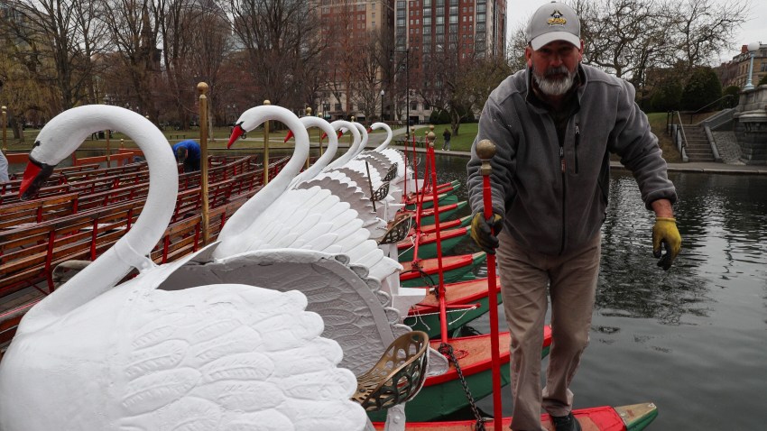 Boston Swan Boats 4 041222019