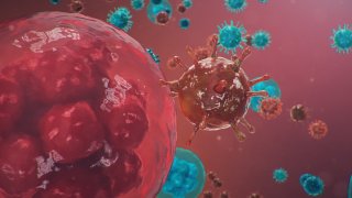 Imagen de portada del coronavirus