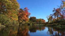 Colorful afternoon at White Memorial in Litchfield by Neusa Uberti(2)