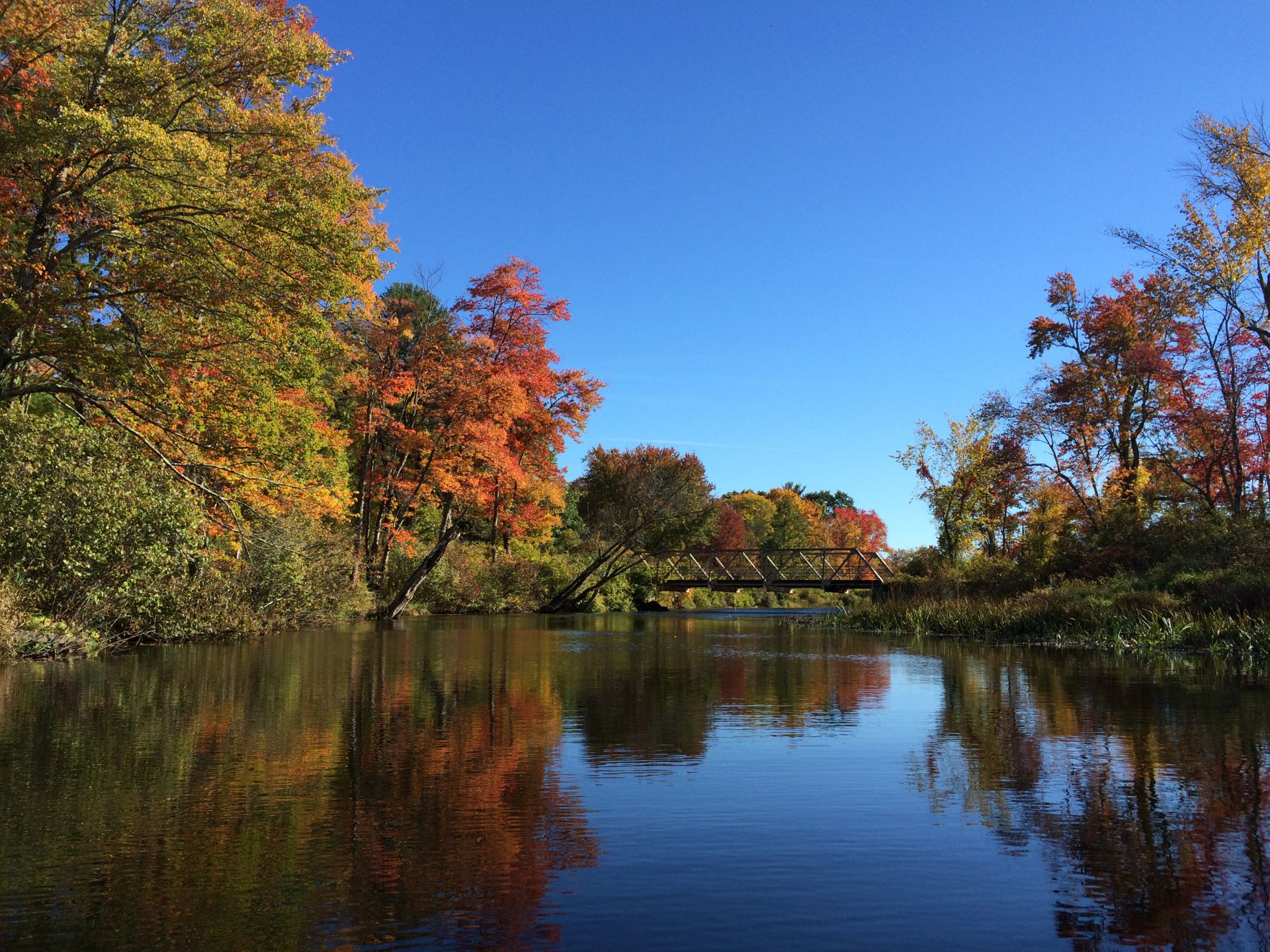 Colorful afternoon at White Memorial in Litchfield by Neusa Uberti(2)