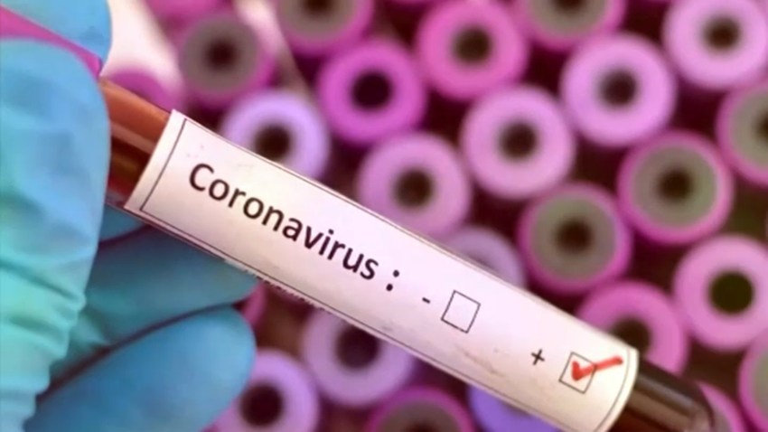 Coronavirus file