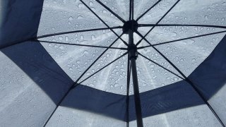 An undated image of an umbrella.