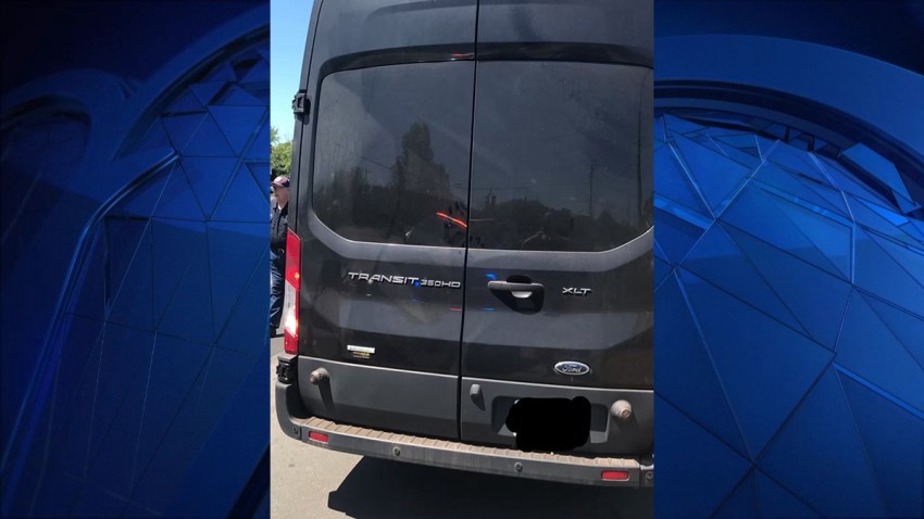 Person living in van with dogs and parrot 1200