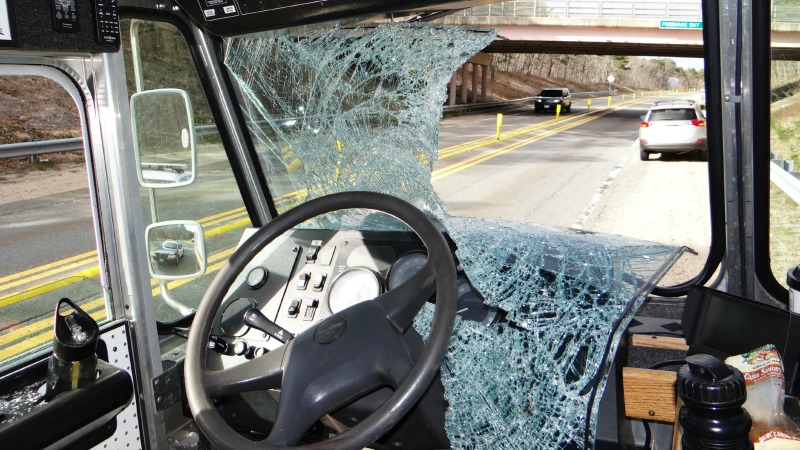 TLMD-Brewster-4-30-15 Wild Turkey into windshield