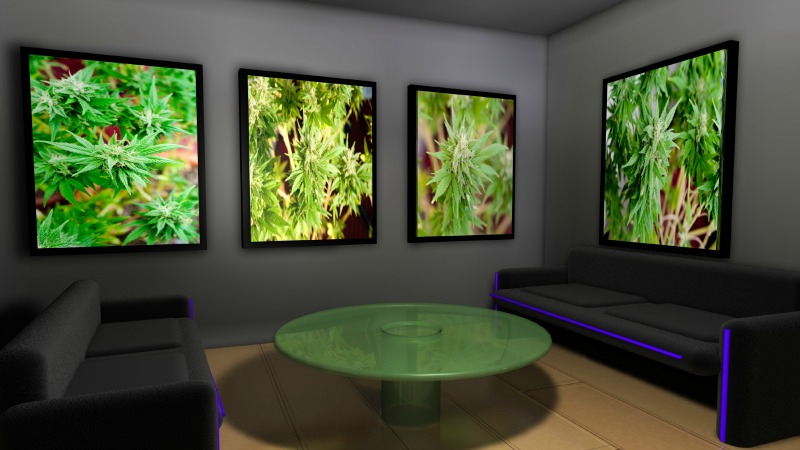 TLMD-Marihuana-recreativa-en-massachusetts-foto-holanda-shutterstock-70321180