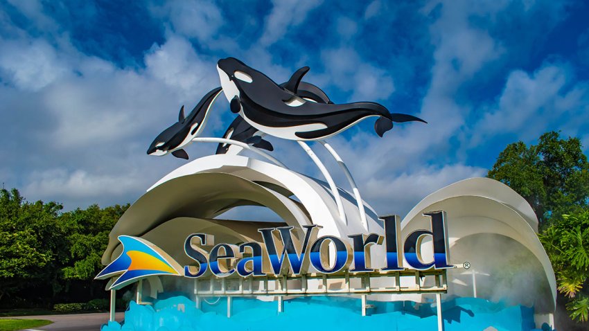 SeaWorld