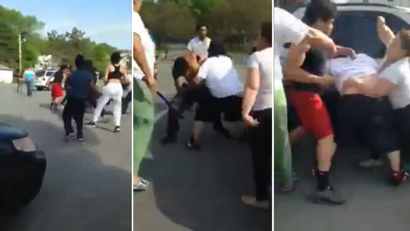 TLMD-Webster-pelea-parque---
