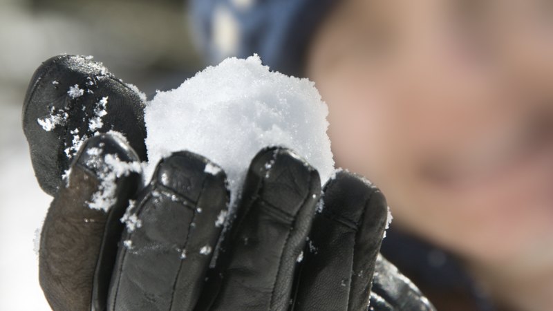 TLMD-bola-de-nieve-shutterstock-3954664