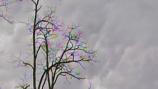 Tree_Clouds_Generic