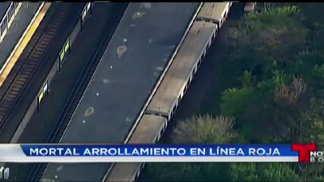 atropellado-linea-roja