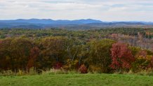 Mohawk State Forest view