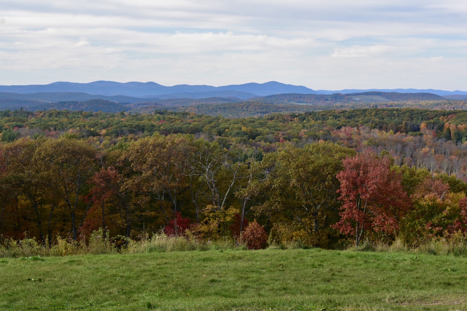 Mohawk State Forest view