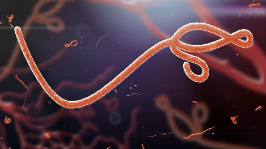 ebola4