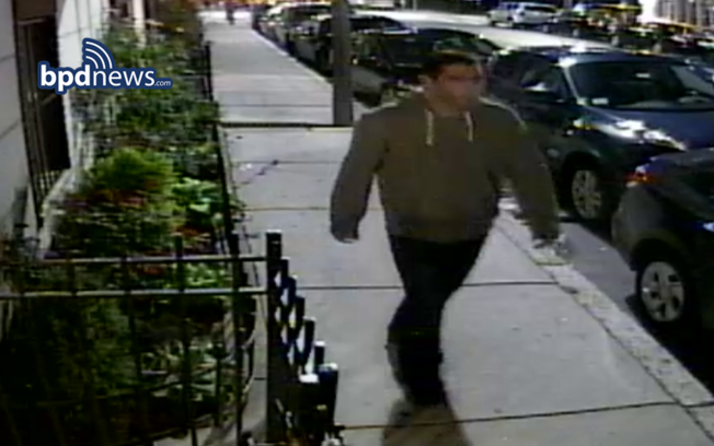 fenway sexual assault suspect