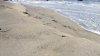 Dos playas estatales abrirán 2 semanas antes de la apertura oficial en Rhode Island