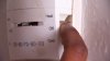 Aplicaciones para el Programa de asistencia de energía de Conn. comienzan el 1 de septiembre