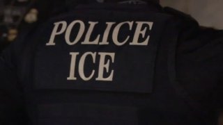 ice police fairfax