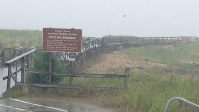 plum-island