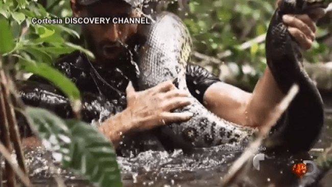 tlmd_anacondadiscovery