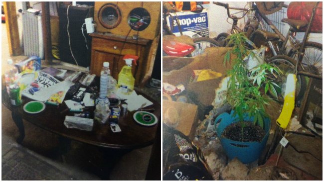 tlmd_blackstone_casa_marihuana