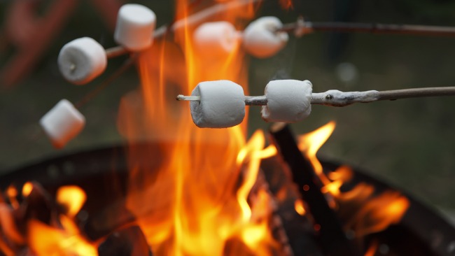 tlmd_bonfire_fogata_hoguera_shutterstock_122697214