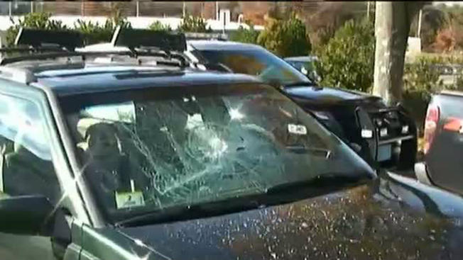 tlmd_bourne_barboza_rabia_al_volante_arresto_marihuana