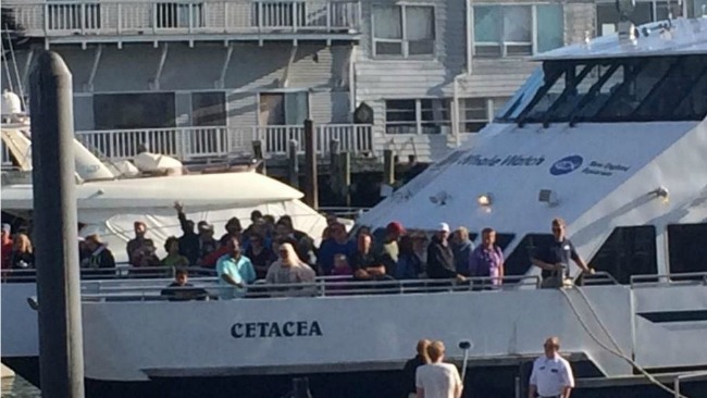 tlmd_cetacea_barco_varado_boston_ferry2