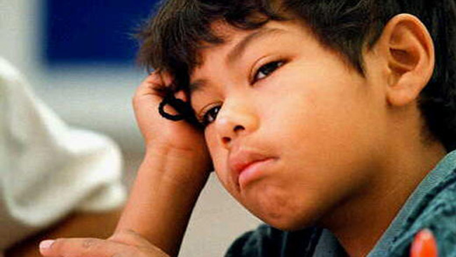 tlmd_educacion_bilingue_estados_unidos