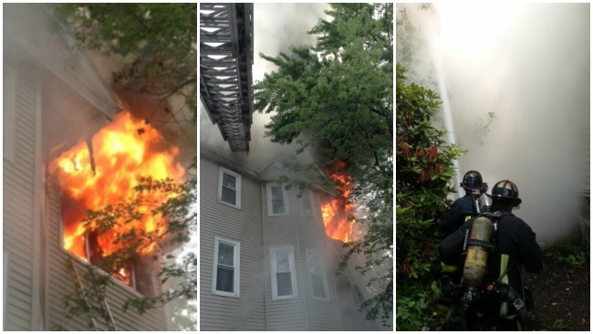 tlmd_incendio_brighton_morton