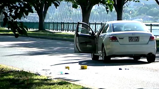 tlmd_memorial_drive_atropellado3