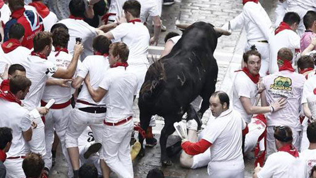 tlmd_pamplona_toro_ok