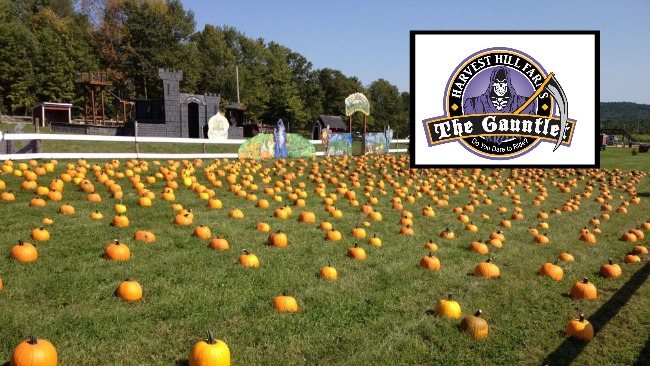 tlmd_parque_pumpkinland_maine_2