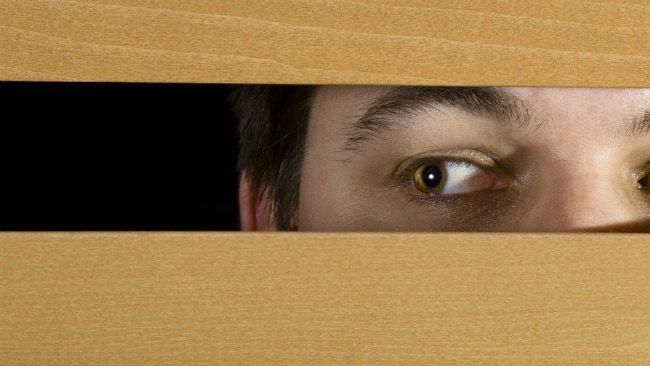 tlmd_peeping_tom_miron_privacidad_shutterstock_94042390