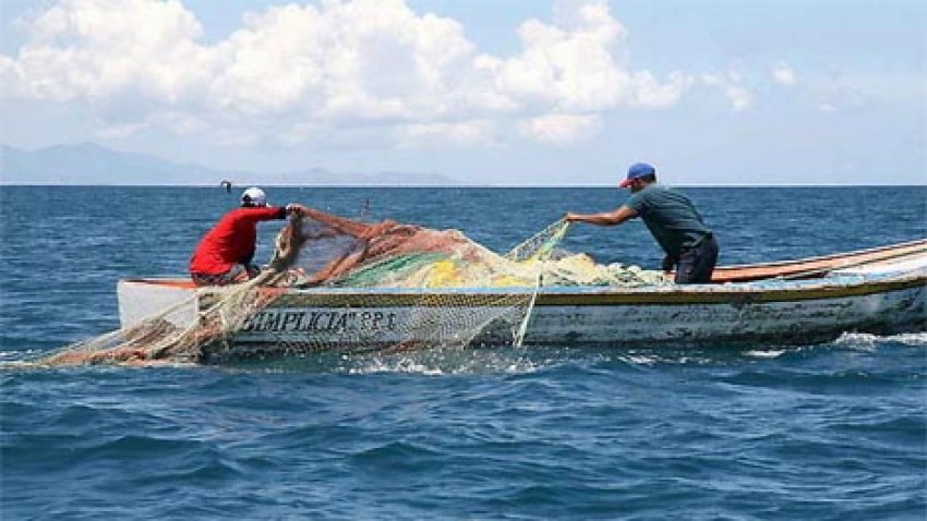 tlmd_pesca_470_265