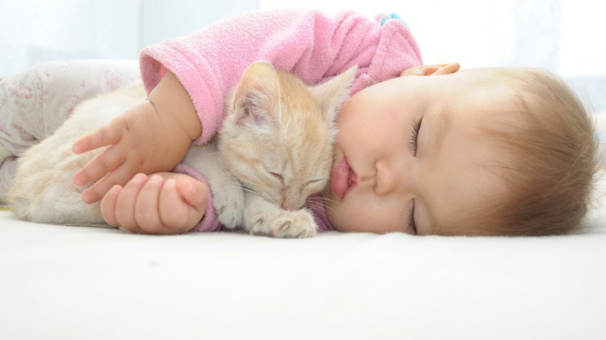 tlmd_sleeping_baby_shutterstock_221307421