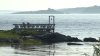 Identifican a víctima mortal de ataque por tiburón en Maine