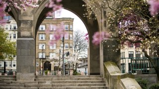 Boston University's campus