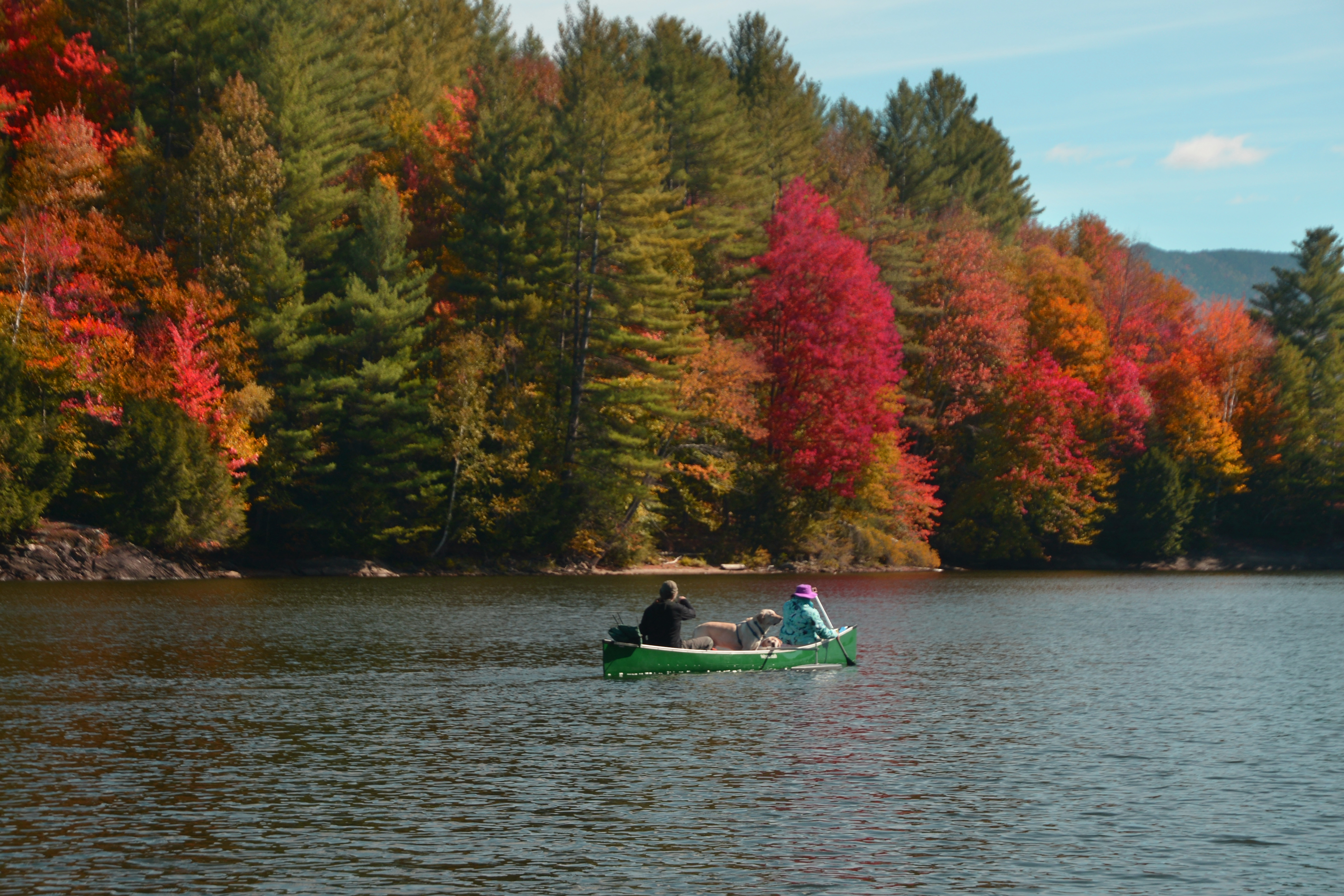 Two people and a dog canoe in Waterbury, Vermont, as the trees change colors in the fall