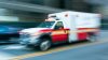 Niño resulta gravemente herido al caerle una rama de árbol en Franklin Park Zoo en Boston: policía