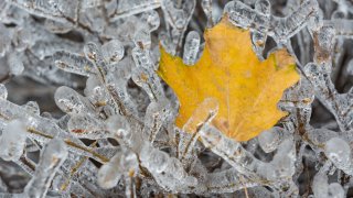 Freezing rain accumultion during the North American Ice