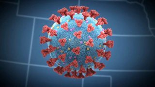 La pandemia del coronavirus
