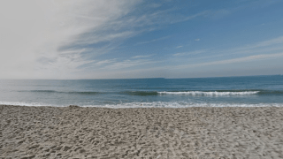 Carlsbad State Beach