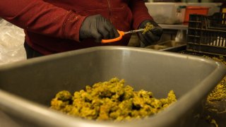 Emiten 13 licencias para dispensarios de marihuana en ocho condados rurales de Arizona