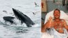 Estrenan documental sobre buzo de Massachusetts que quedó atrapado en la boca de una ballena