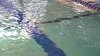 4 personas enfermas tras nadar en una piscina de Cohasset que se abrió sin inspección final