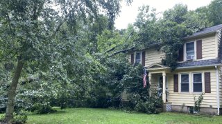 Tree on a house in Lisbon during Tropical Storm Henri.