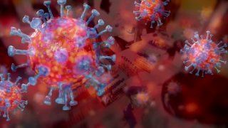 Another strain of the coronavirus has arrived in North Texas with Dallas County officials reporting they’ve detected multiple cases of the mu variant.