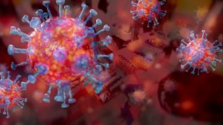 Another strain of the coronavirus has arrived in North Texas with Dallas County officials reporting they’ve detected multiple cases of the mu variant.