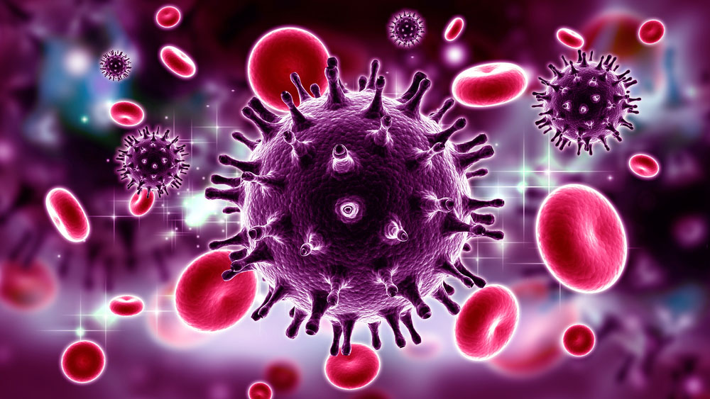 Una mujer se habría curado de VIH gracias a su sistema inmune – Telemundo Nueva Inglaterra